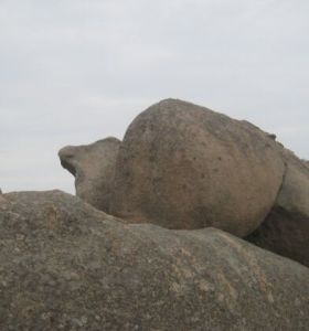 石龍奇觀 石龍奇觀