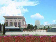 龍洲國小 龍洲國小