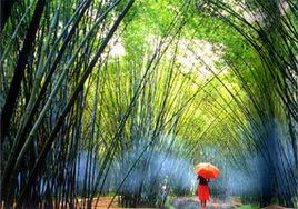 廣寧竹海大觀旅遊區