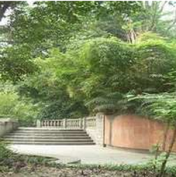 怡豐花園 怡豐花園