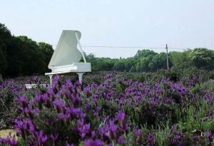 東方風情園 東方風情園