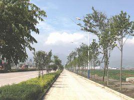 綠化工程內業資料 綠化工程內業資料