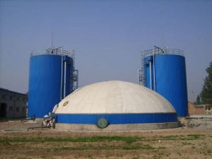 沼氣工程 沼氣工程