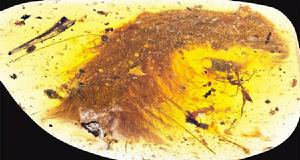 恐龍[蜥形綱史前動物]