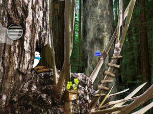 心愛藍色小帽 心愛藍色小帽