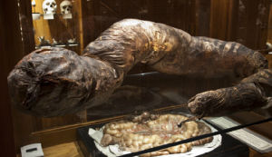 美國穆特博物館 美國穆特博物館