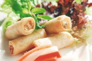 營養小春卷 營養小春卷