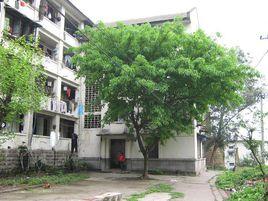 茄子溪街道 茄子溪街道