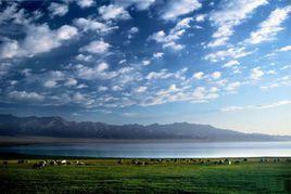 鄂陵湖濕地 鄂陵湖濕地