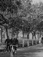 《俏語真情》 《俏語真情》