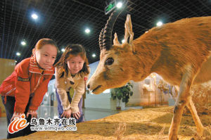 中國科學院新疆生態與地理研究所標本館 中國科學院新疆生態與地理研究所標本館