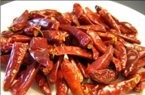 五香辣椒 五香辣椒