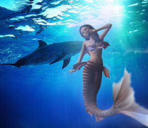 海底人魚 海底人魚