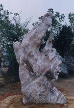 獨具特色的望埠英石