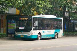 陽江公交8路 陽江公交8路