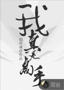 我真是高手 我真是高手