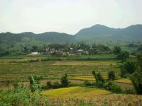 小窩鋪自然村 小窩鋪自然村