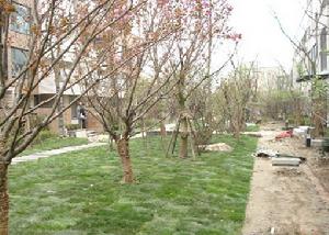 綠地領海小區圖