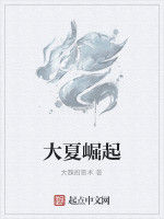 大夏崛起 大夏崛起