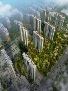 中建國際港 中建國際港