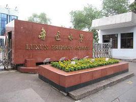 魯迅國小 魯迅國小