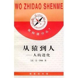 從猿到人:人的進化史 從猿到人:人的進化史