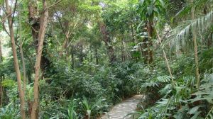 東協青年生態友誼園 東協青年生態友誼園