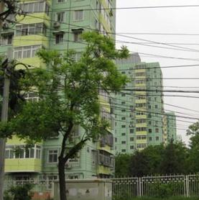 羊坊店10號院 羊坊店10號院