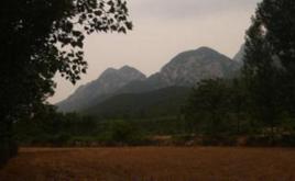 天廟村[山東省天廟村]