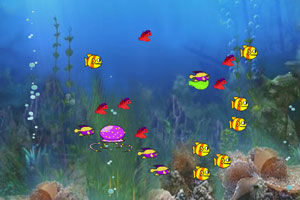 《水母吃魚兒》 《水母吃魚兒》