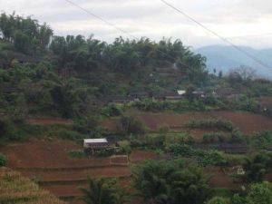 大軍賽自然村 大軍賽自然村