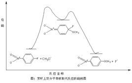 親核取代 親核取代