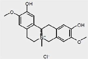 鹽酸黃柏鹼 鹽酸黃柏鹼