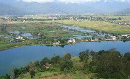 九龍潭[麗江市九龍潭]