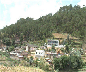 岔河街村 岔河街村