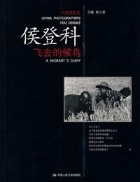 飛去的候鳥 飛去的候鳥