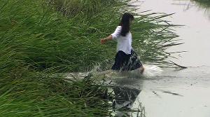 關於莉莉周的一切