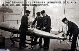 白頭魚雷 白頭魚雷