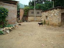 紅河縣迤薩鎮大黑公村委會永康村進村道路