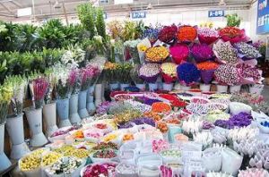 昆明佳盟花市 昆明佳盟花市