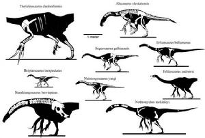 數種鐮刀龍超科已發現的部分