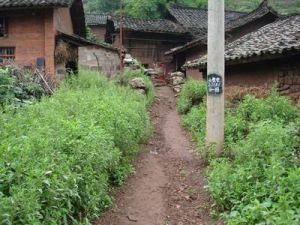 山包包村 山包包村