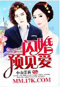 閃婚預見愛 閃婚預見愛