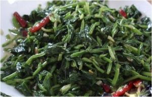 炒打碗花 炒打碗花