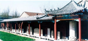 山旺古生物化石博物館 山旺古生物化石博物館