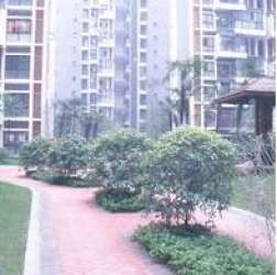 華宇陽光四季 華宇陽光四季