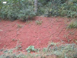 酸性土壤 酸性土壤