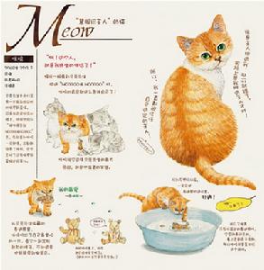 (圖)《貓國物語》