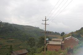 千莊筲箕凹村 千莊筲箕凹村