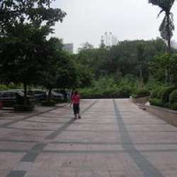 華宇金沙巨人 華宇金沙巨人